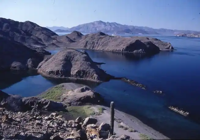 墨西哥加利福尼亚湾的岛屿