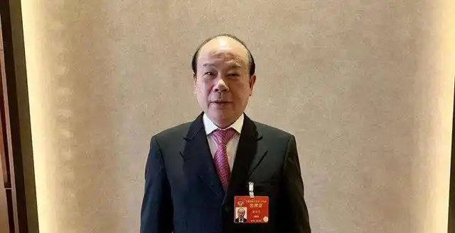 鸿荣源的赖海民,赖海宏兄弟,都是来自潮汕,恒裕背后的老板龚俊龙,是