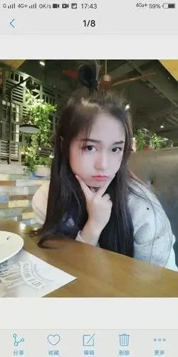 被萝卜追杀的兔子