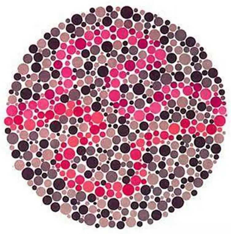 考驾照驾驶证换证升学要检查的10张色盲测试图你能认出几个