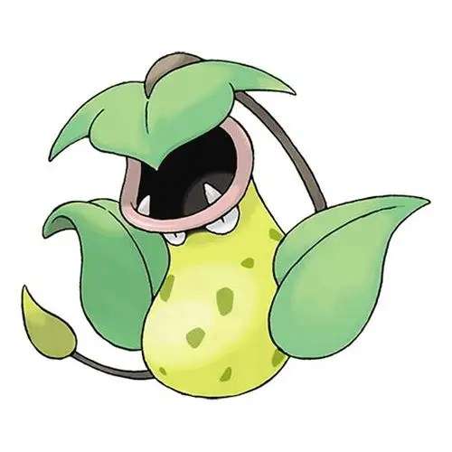 猪笼草图片简笔画