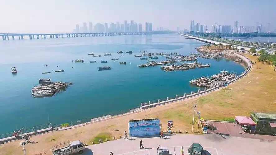 厦门:小帐篷撑起大市场"露营风"催生新业态