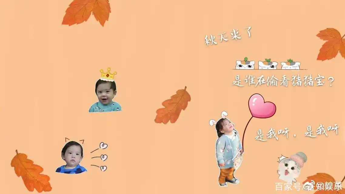 建厚鹅子的电脑壁纸第二期