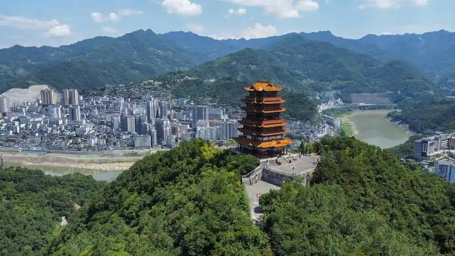 【花婆婆 | 云上花间的小欢喜】_秦巴_紫阳_小院