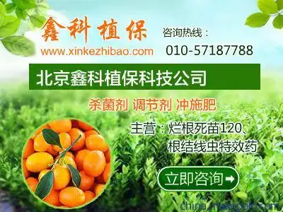 坐果灵推荐使用北京鑫科植保产品