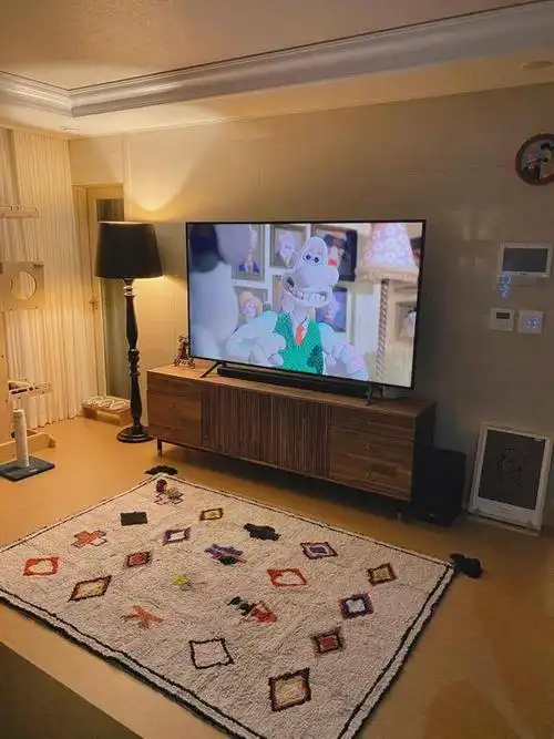 韩国丁克夫妻住132㎡不要孩子养只猫站客厅还能看到半个城市