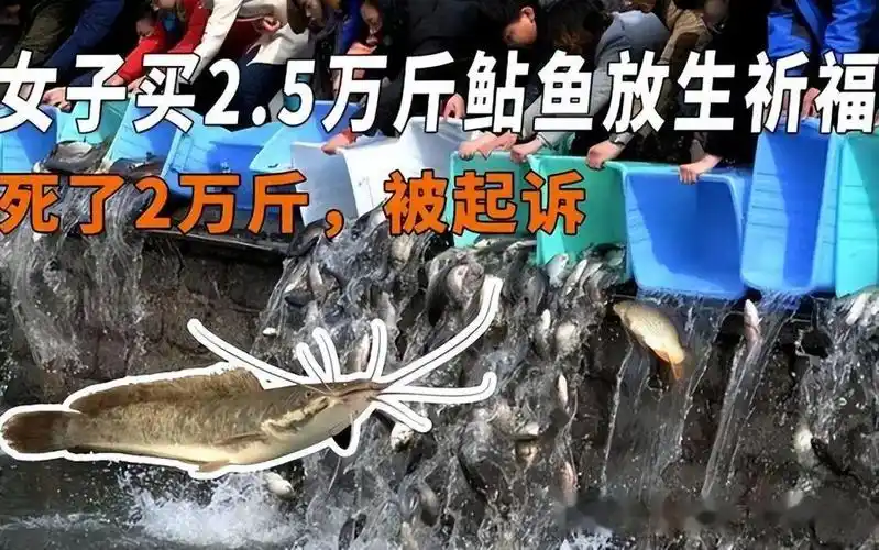 这也叫放生女子为祈福放生2万多斤鲶鱼结果却引来重罚