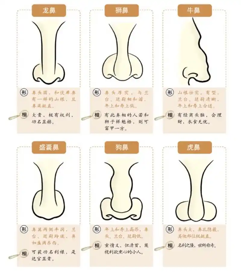 鼻子 #面相 #命运  - 抖音