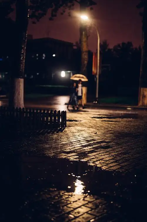 地质大学的雨夜