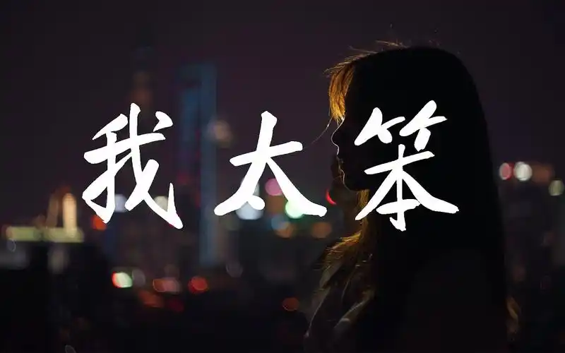 锤娜丽莎 // 我太笨