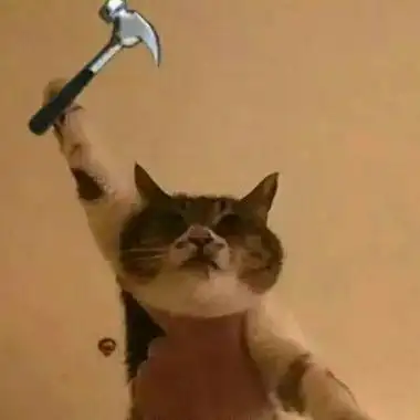 qq沙雕动物头像高清可爱超沙雕的动物头像图片