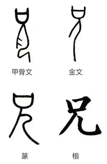 字字有源 88 89|甲骨文_新浪财经_新浪网