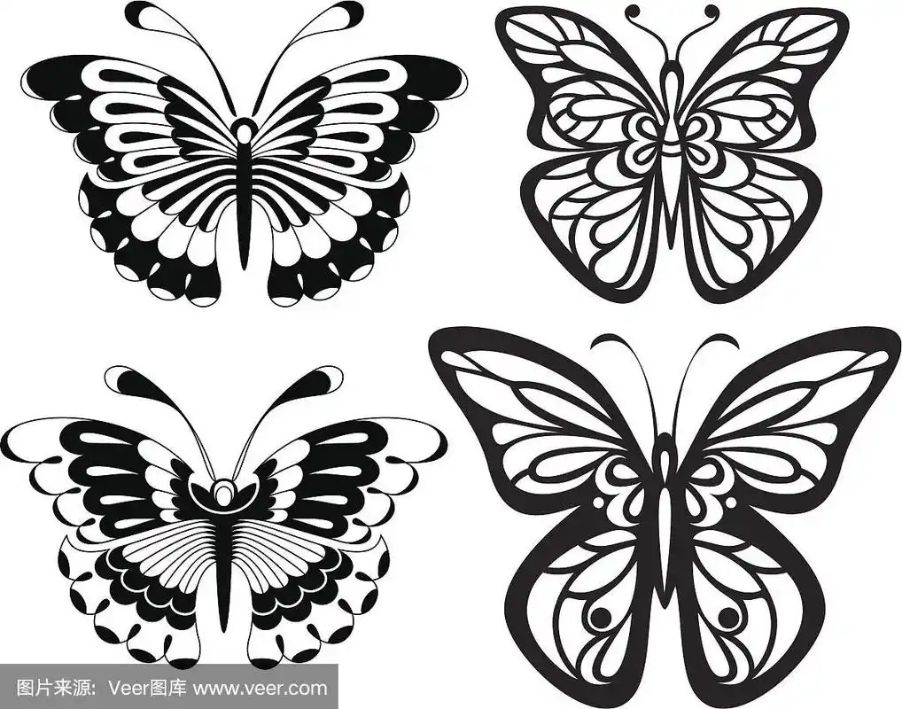 对称的剪影蝴蝶张开翅膀的窗饰.