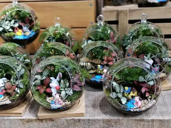 教师节礼品微景观生态瓶