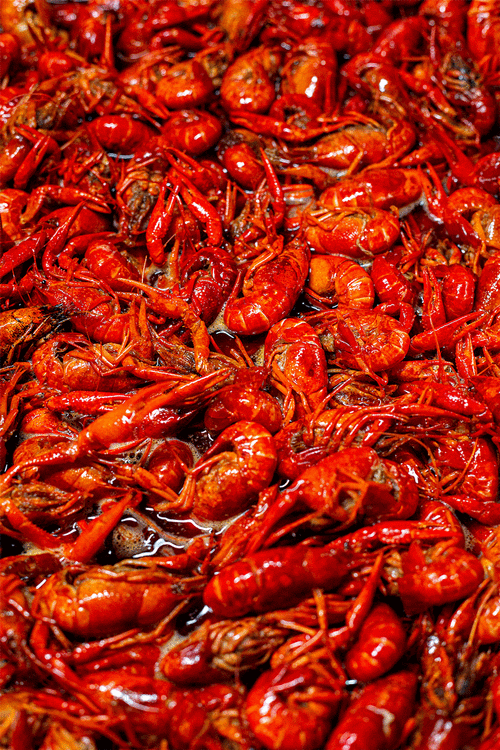 内乡头①家!辣卤小龙虾6人餐119元!9个菜!香辣爆黄太过瘾!|黑椒|酱料|