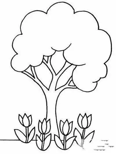 幼儿简笔画大树简笔画画法