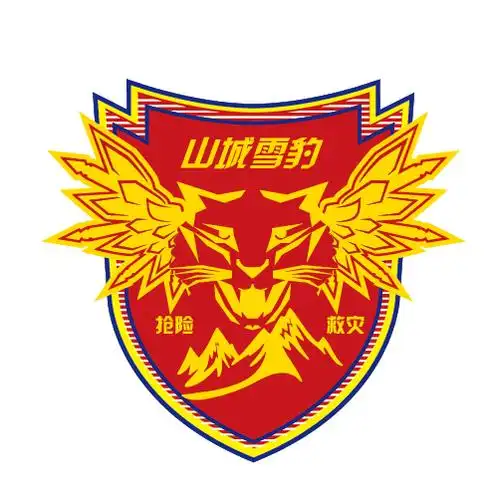 重庆市"山城雪豹"抢险救灾青年突击队