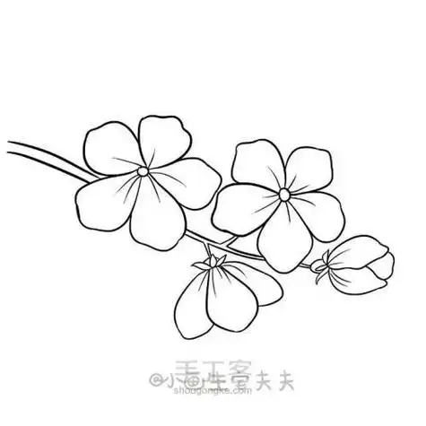 简单卡通樱花简笔画 卡通樱花简笔画的画法樱花简笔画画法步骤如下