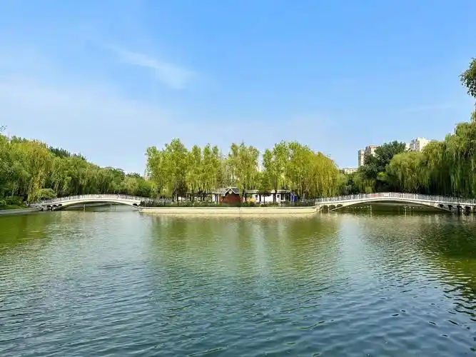 玩转东城|青年湖公园最美荷花上线,来东城消暑有"凉方"!