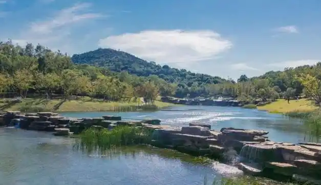 20分钟,你可以……|狮山公园|狮子山|何山|湖公园|林荫_网易新闻