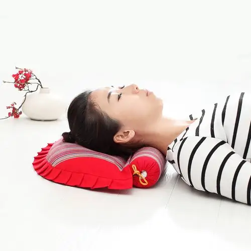 【天天特价】老粗布颈椎枕头成人修复颈枕护颈非治疗荞麦皮保健枕