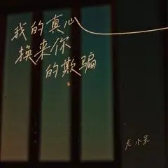 我的真心换来你的欺骗