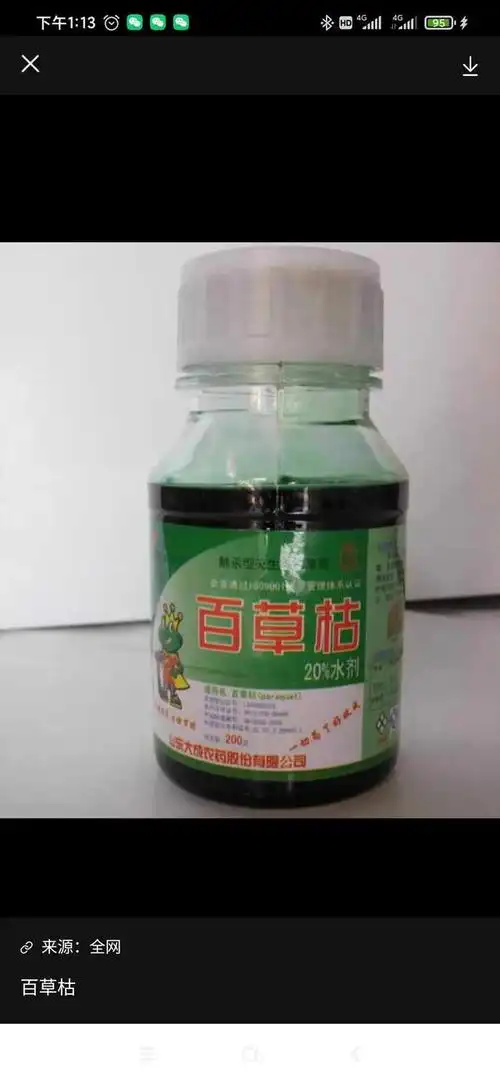 百草枯,给你后悔的时间,却是死亡不归路|中毒|农药|解药_网易订阅