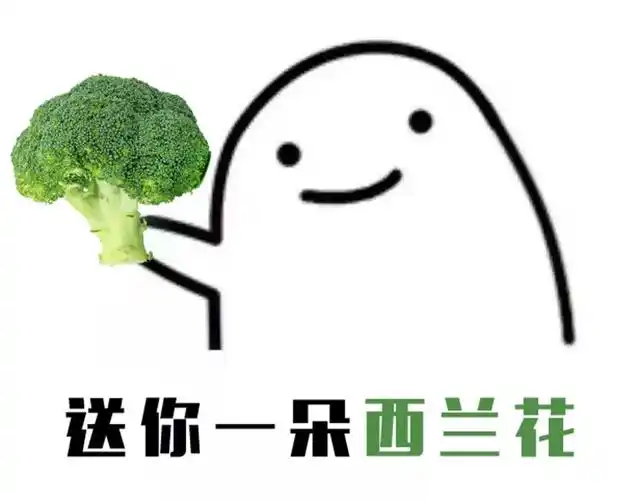 送你一朵西兰花,好吃入味头朝下!
