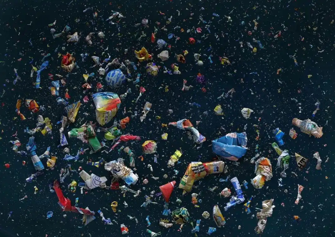 她痴迷于海边捡垃圾,拍出美到窒息的照片,然而背后的真相令人触目惊心