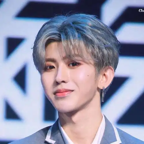 奶奶灰假发男蔡徐坤同款中分刘海短卷发韩版帅气时尚自然蓬松隐形 深