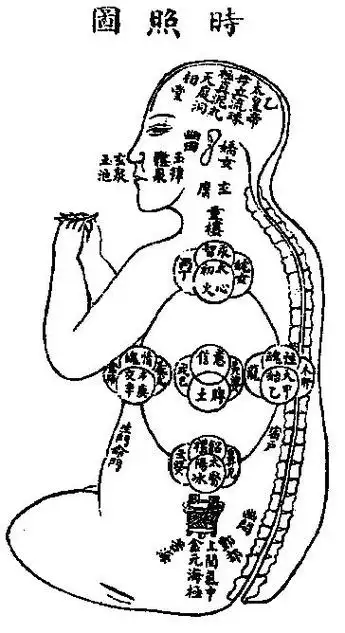 《性命圭旨》普照图,反照图,时照图,内照图,性命双修万神圭旨,道家