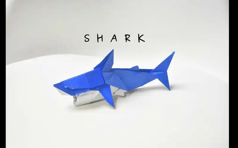 【keizo origami】神谷哲史鲨鱼折纸教程 shark requin サメ (satoshi
