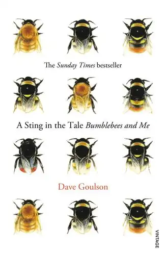 bore place | talk about the decline in bumblebees and how we can