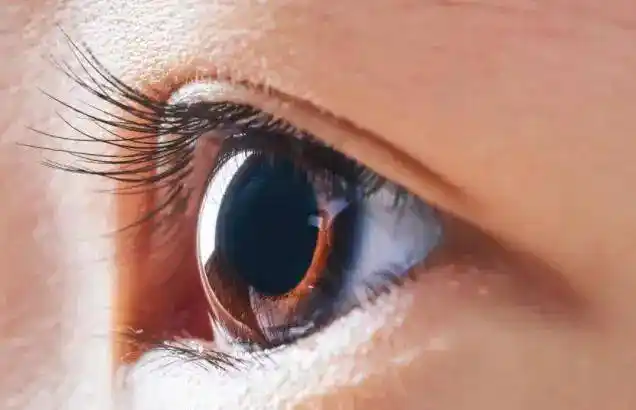 断气后能目睹阴间人死亡5小时眼睛竟还有反应