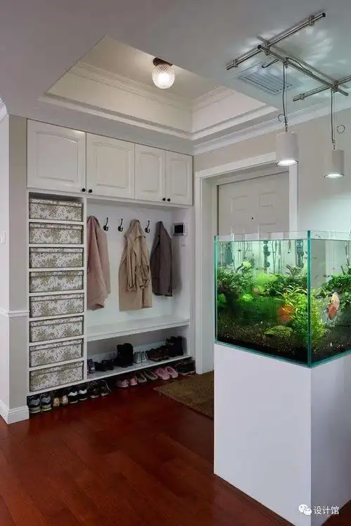 玄关里放鱼缸,这样摆就很漂亮!
