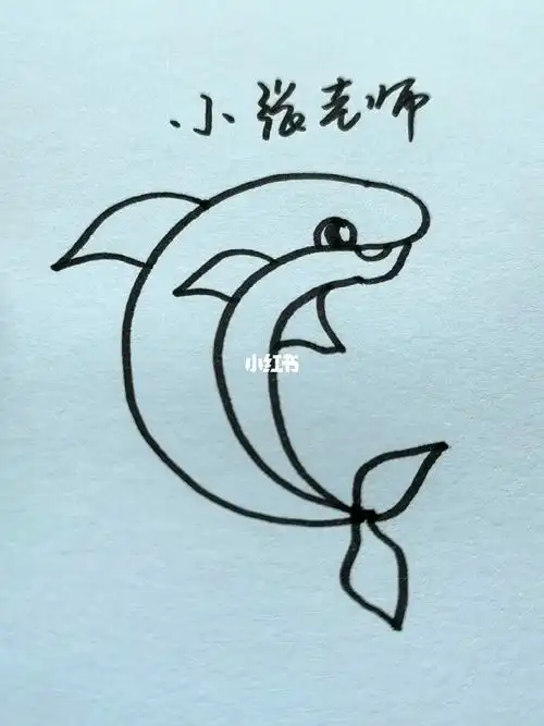 画小海豚
