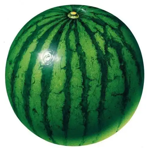 咦,是西瓜,又大又圆的西瓜.