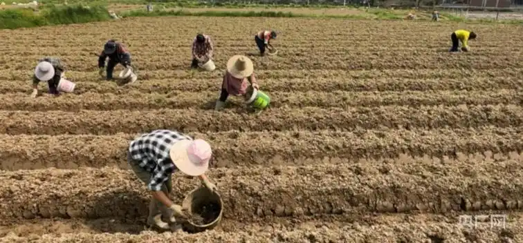 首页>湖南频道>分类新闻>乡村振兴>797_371