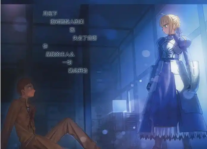 求fate stay night 卫宫士郎召唤saber时候 saber和侍郎对望着的 高清