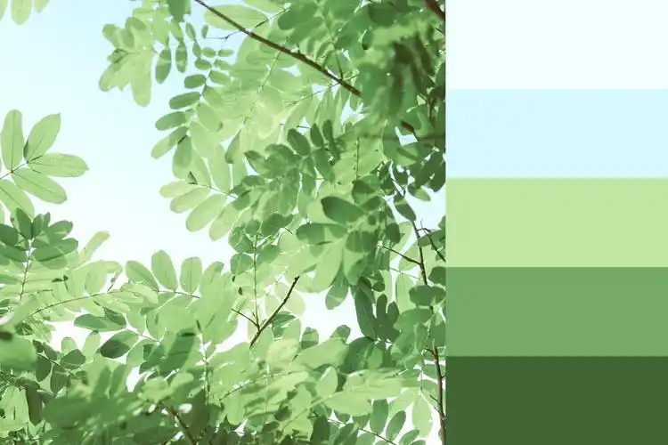 日系小清新配色,色卡对照.作者:@林大胖本胖_高清图集_新浪网