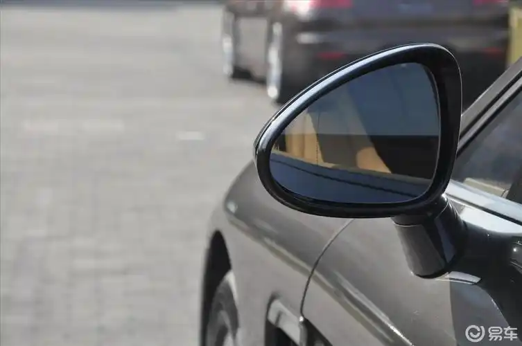 后视镜镜面(后)