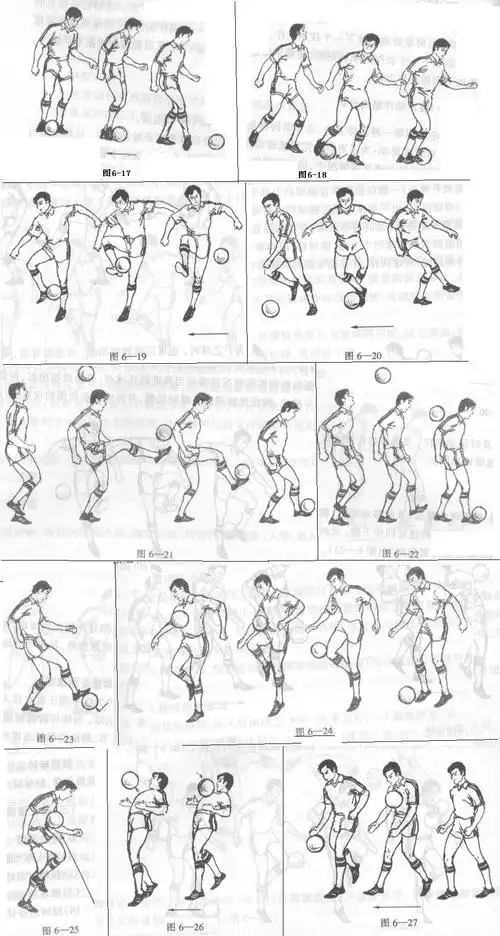 接球图册_百度百科