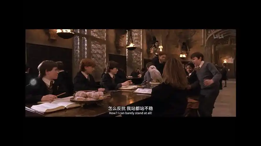 [盘点向] 哈利波特电影海德薇 hedwig镜头盘点1