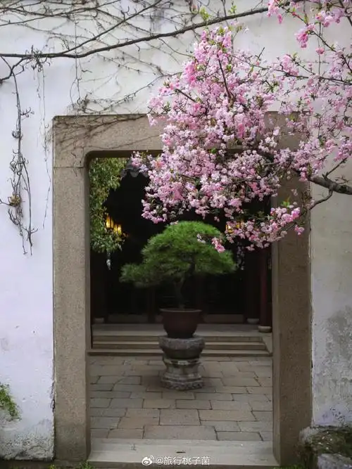 接下来是江南的春和景明#  江南的春天真是太美了    苏州留园  知否