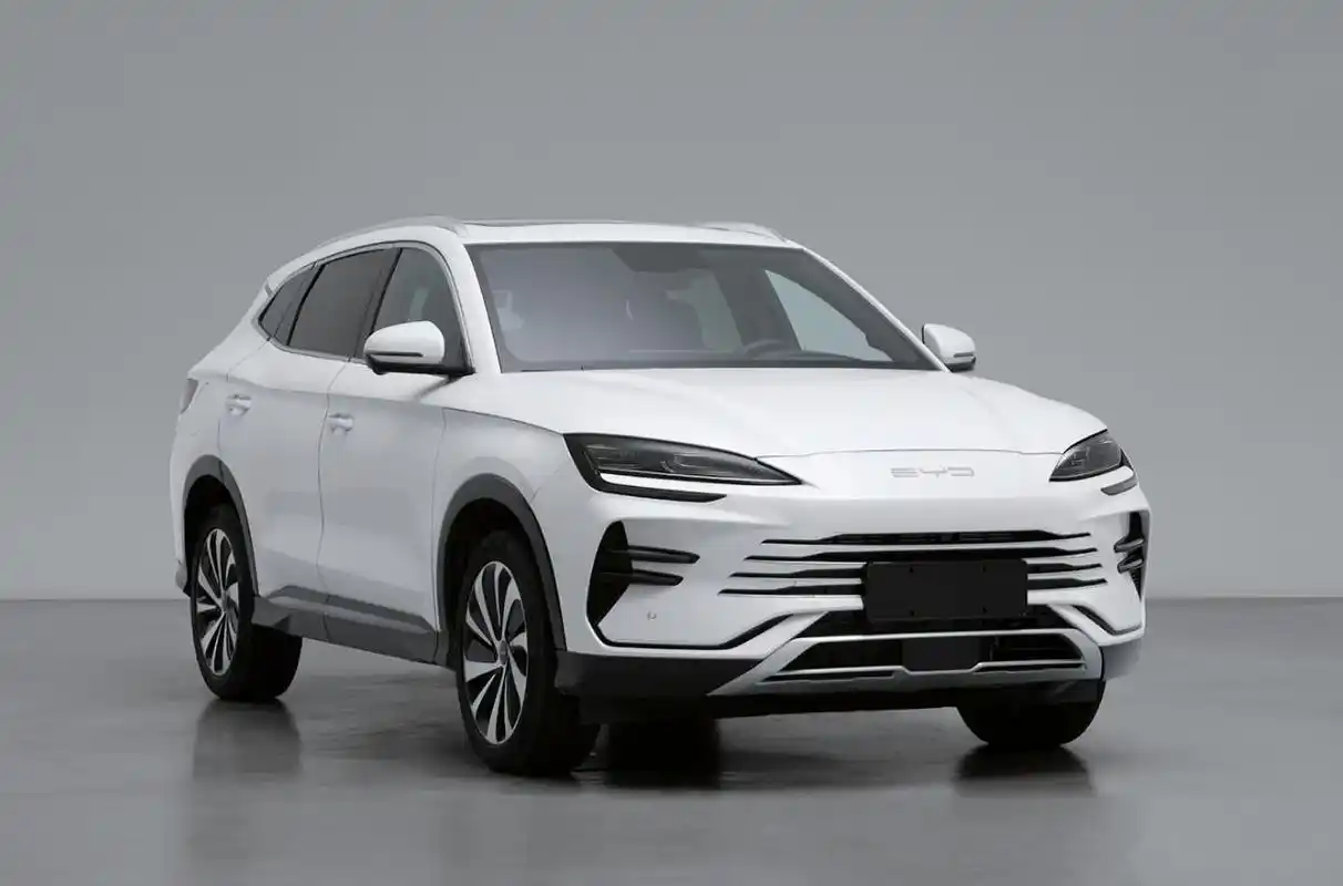 深圳宝龙比亚迪,哪位知道深圳宝龙比亚迪在哪里面是干什么的