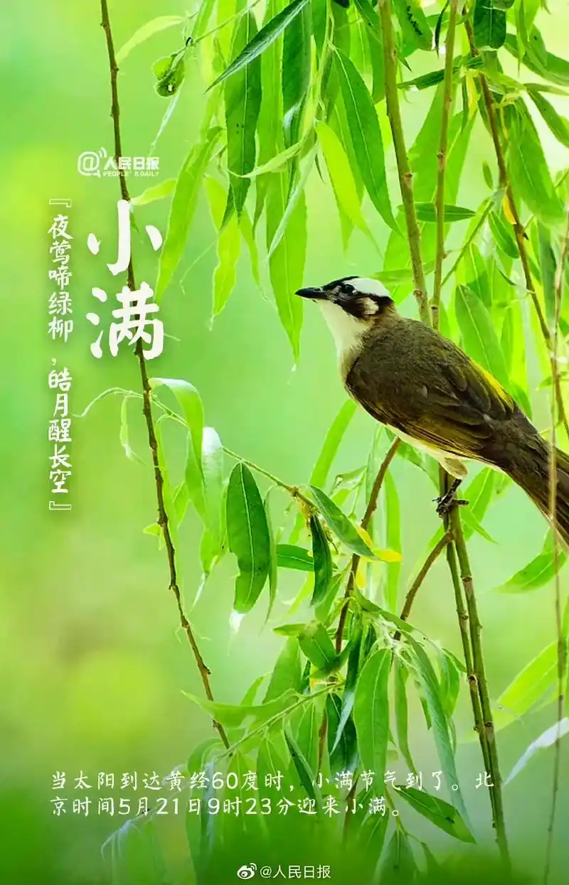 二十四节气之小满# 万物见长,小得盈满,吉迎盛夏.#未来可 - 抖音