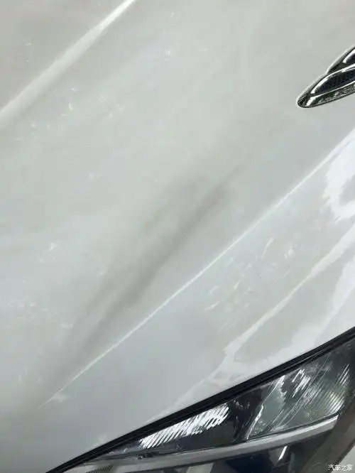 【图】车漆氧化了 惨不忍睹_昂科拉论坛_汽车之家论坛