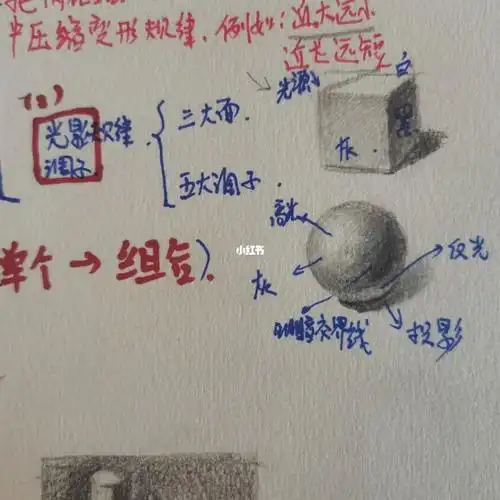 素描干货笔记光影调子三大面五大调子