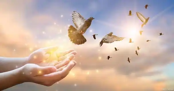 "宁可人负我,切莫我负人":难道任由别人欺负?