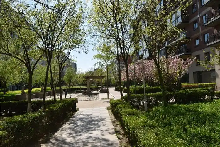 推推99北京房产网阳光上东出租房房源图片